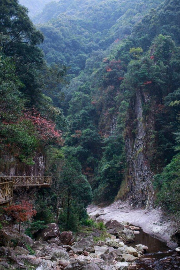 老山羊救援
